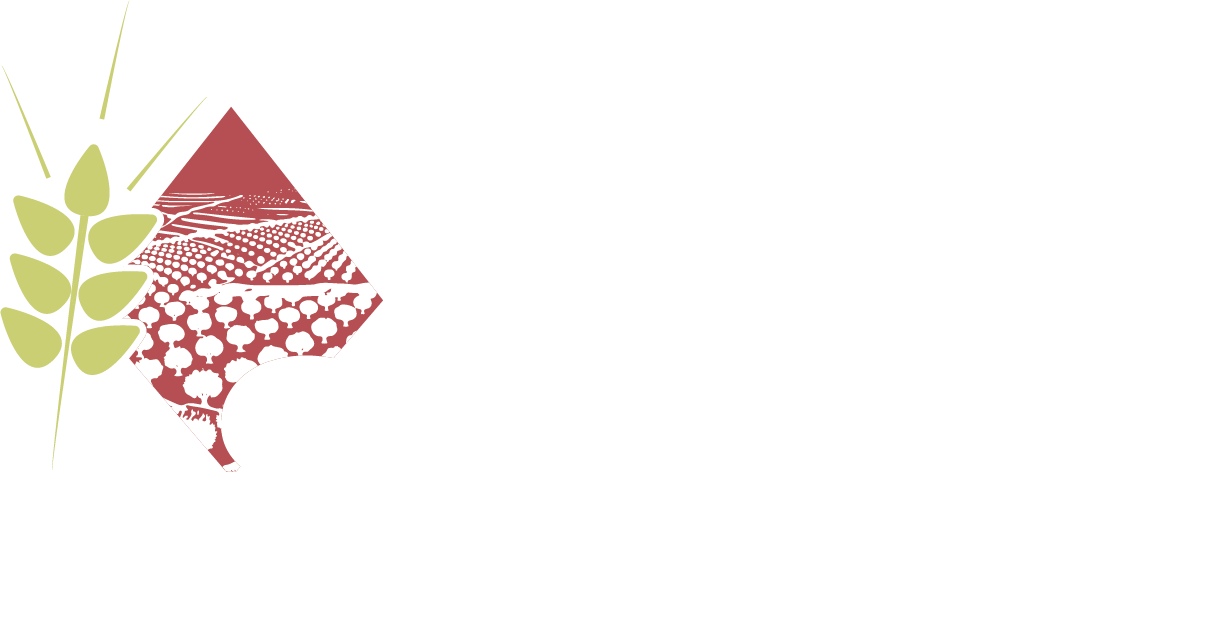 Sehicor